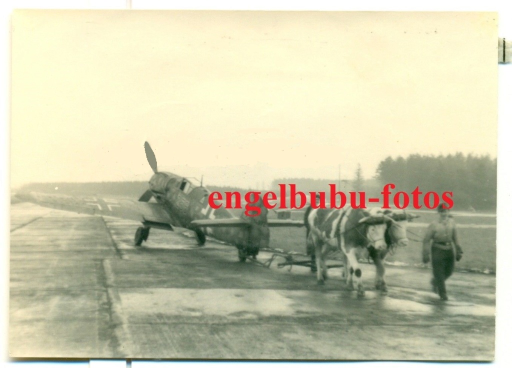 [Aoshima] Focke Wulf Ta-152H Me_10910