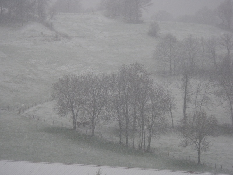 neige P4150010