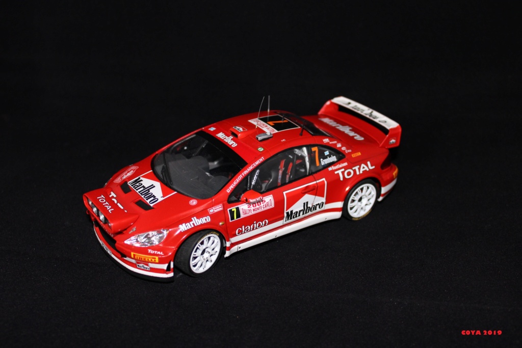 PEUGEOT 307 WRC 05 (Tamiya 1/24) - Page 9 Img_0317