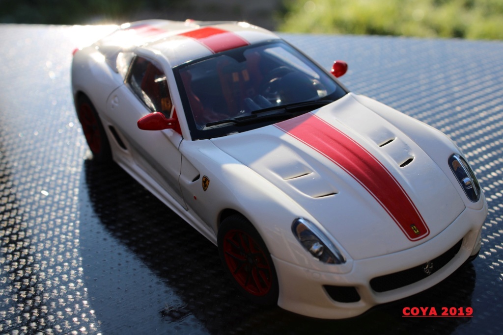 FERRARI 599 GTO (Revell 1/24) Img_1539