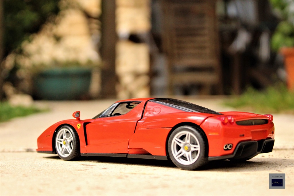  FERRARI ENZO (Tamiya 1/24) Img_1819