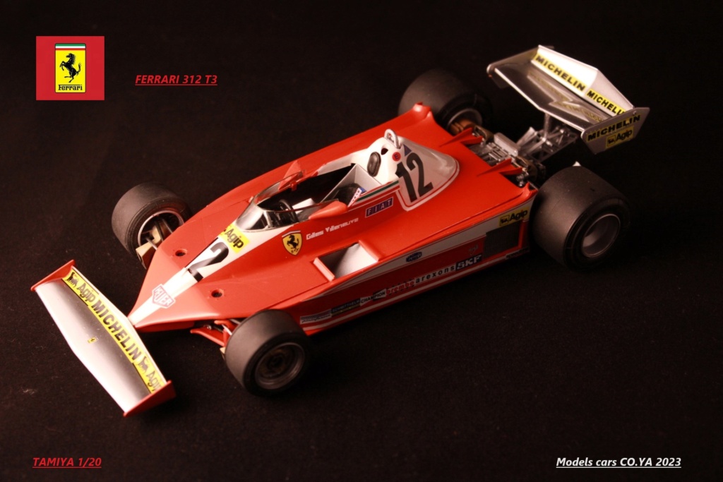 FERRARI 312 T3 Tamiya 1/20 - Page 5 Img_4624