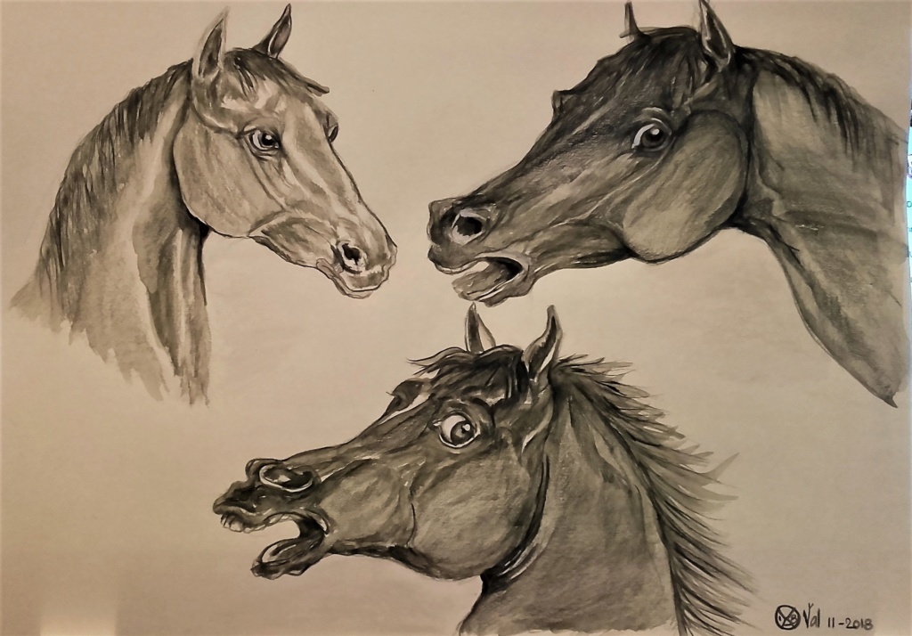 3 chevaux et non 4 20181116