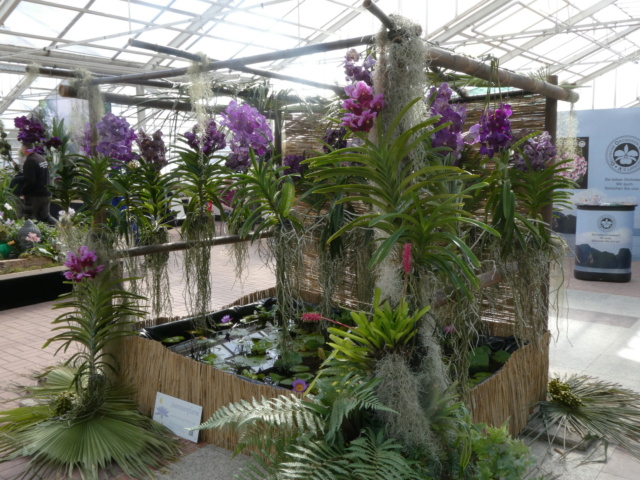 Orchideenschau im Botanischen Garten Berlin 2022