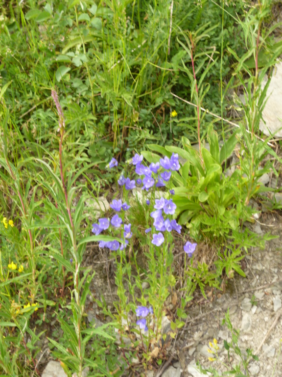 Autour de Valmeinier P1020716