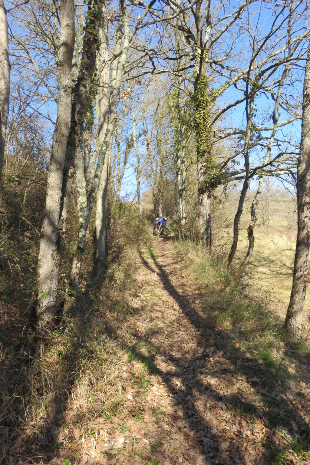 entre l'aude et l'Ariège Img_4717