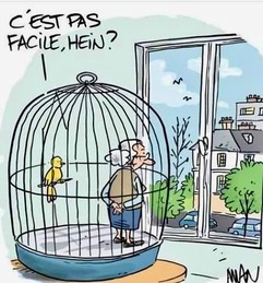 blagues de confinement Blague13