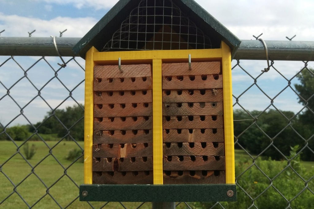 Mason bees - Page 3 Bee_ho13
