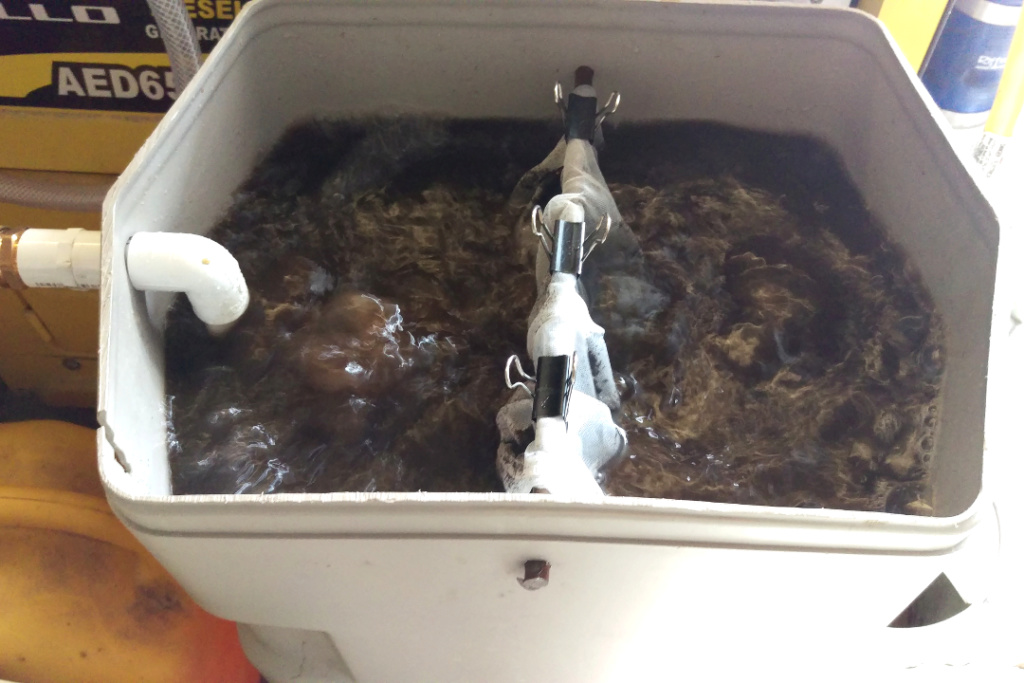 Compost Tea Recipe Compos11