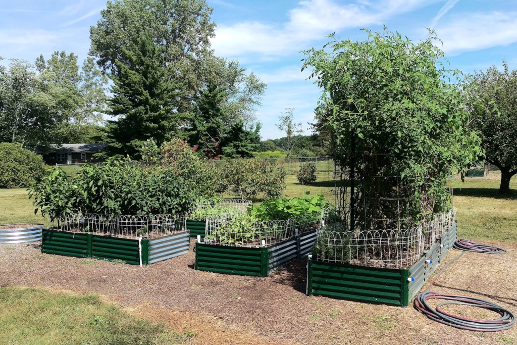 N&C Midwest: August 2019 - Page 2 Garden15