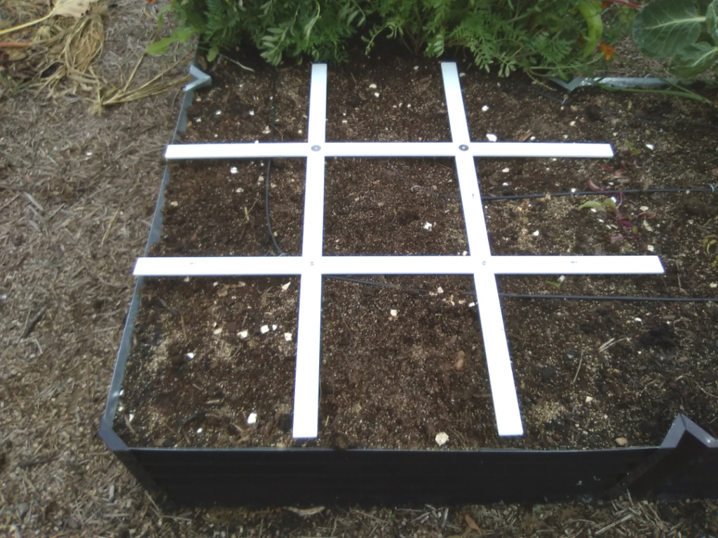 trellis & Green Beans Grid_o11