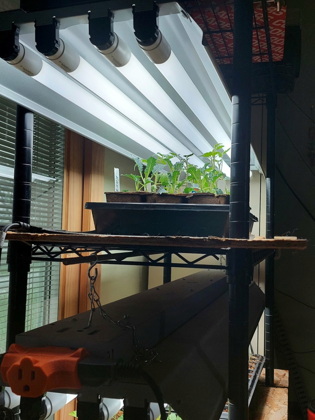 Seed starting & grow lights Grolig10