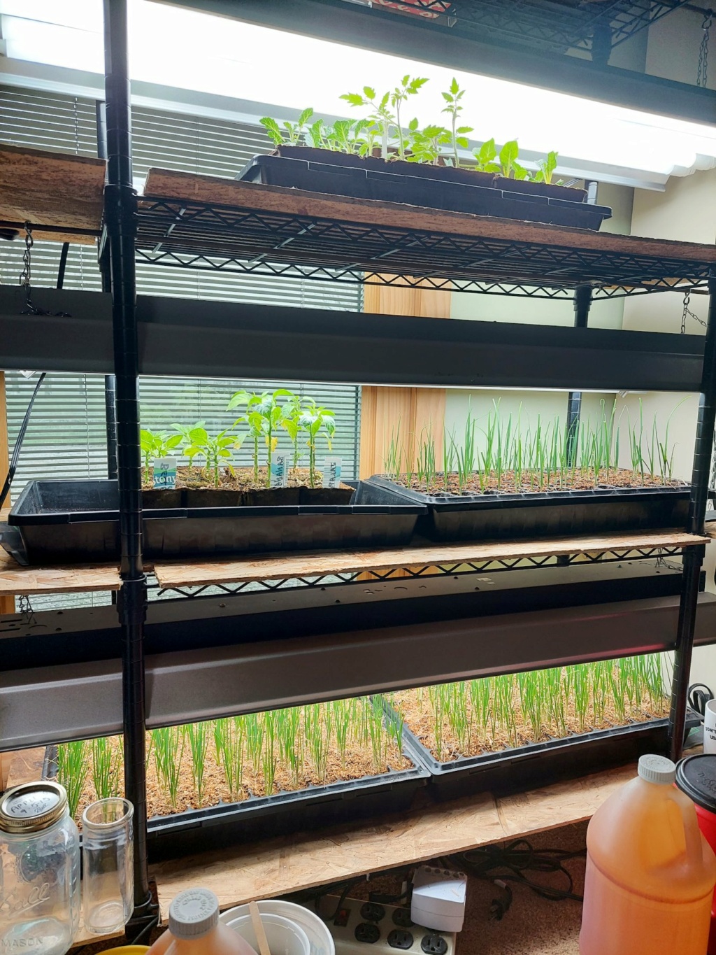 Seed starting & grow lights Grolig11
