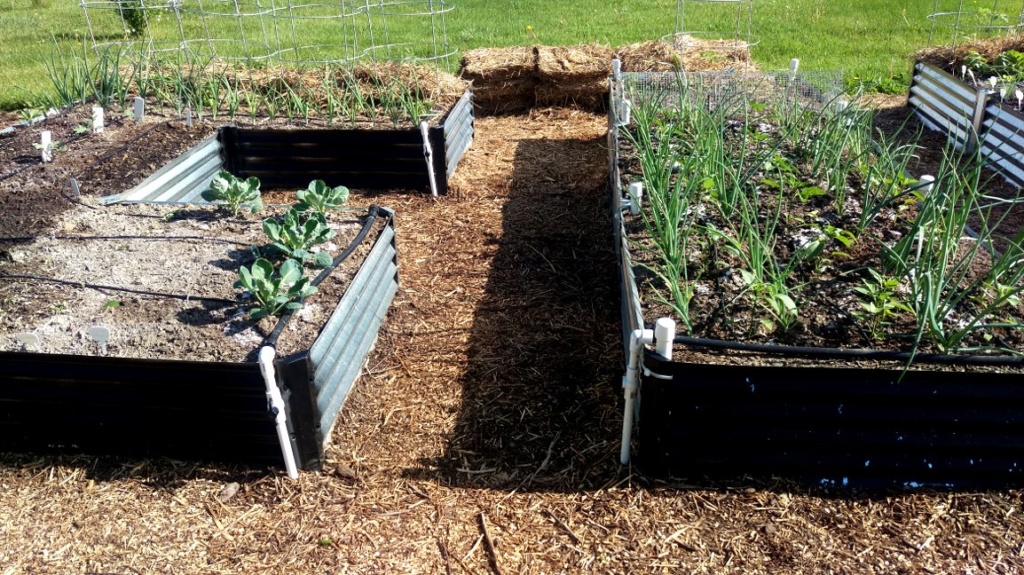 Homemade Concrete Raised Beds Raised22