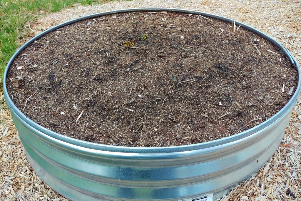 N&C Midwest: April is here! 2019 Rhubar11