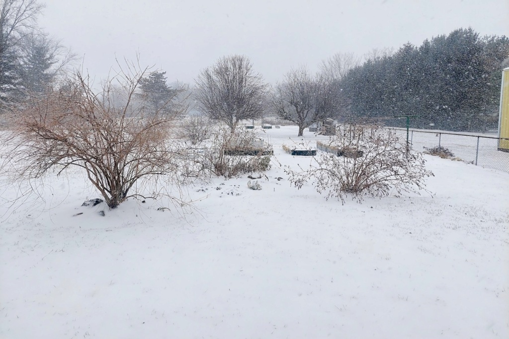 N & C Midwest: Jan & Feb 2022!  Snow_d10