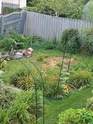 Утреннее настроение - 2 - Страница 5 Img_2346