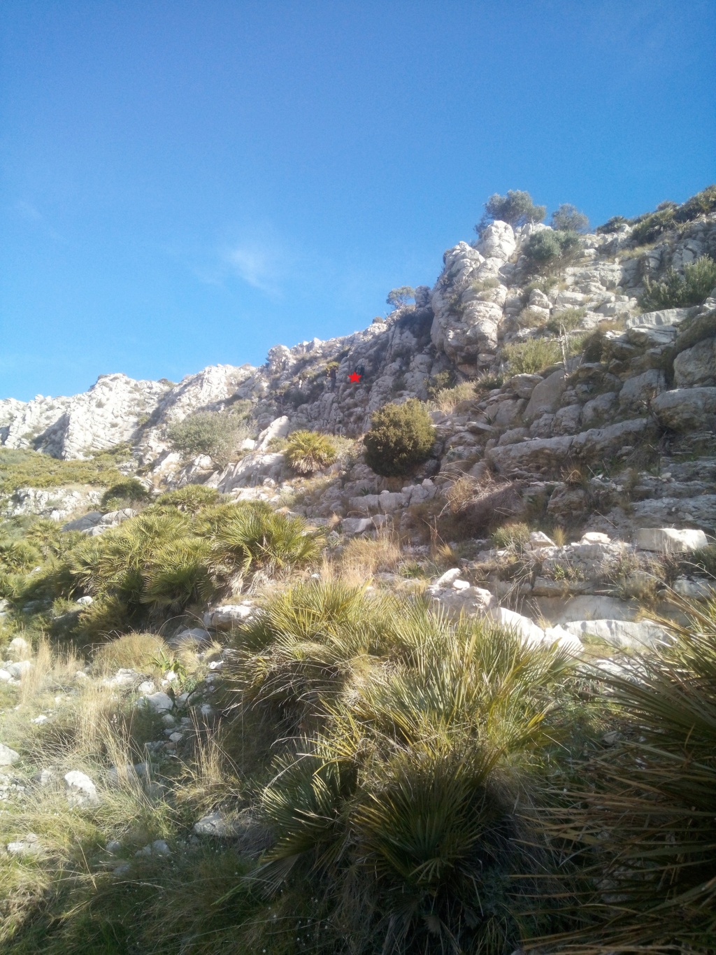 Auf Beceite-Steinbock und Mähnenspringer in Ostspanien - Seite 2 Img_2338