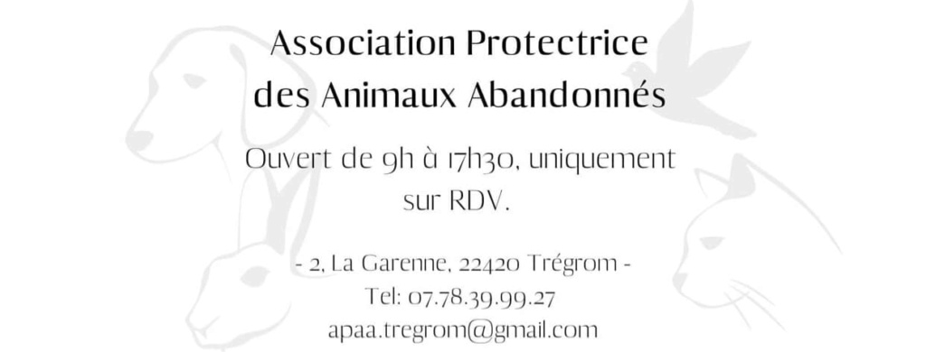 Jeannot mâle beauceron de 5 ans (2016) retiré pour maltraitance.  Apaa10