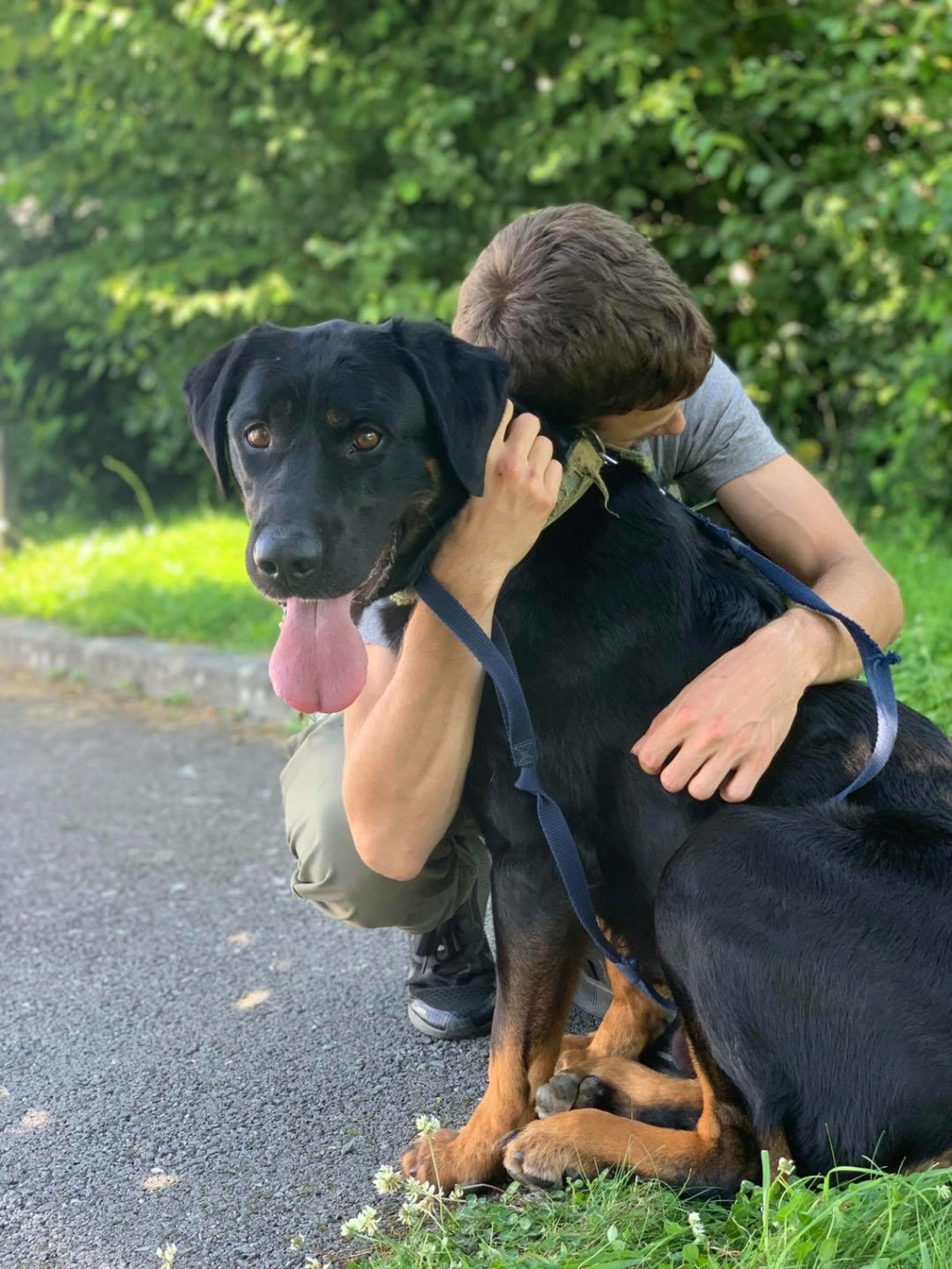 Jypso mâle croisé beauceron 8 ans, un amour et au refuge depuis un an... Gypso110