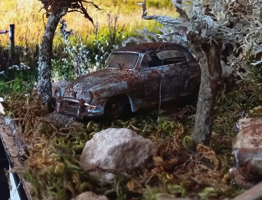 Diorama d'épaves Simca par Yolaine 22_06_11