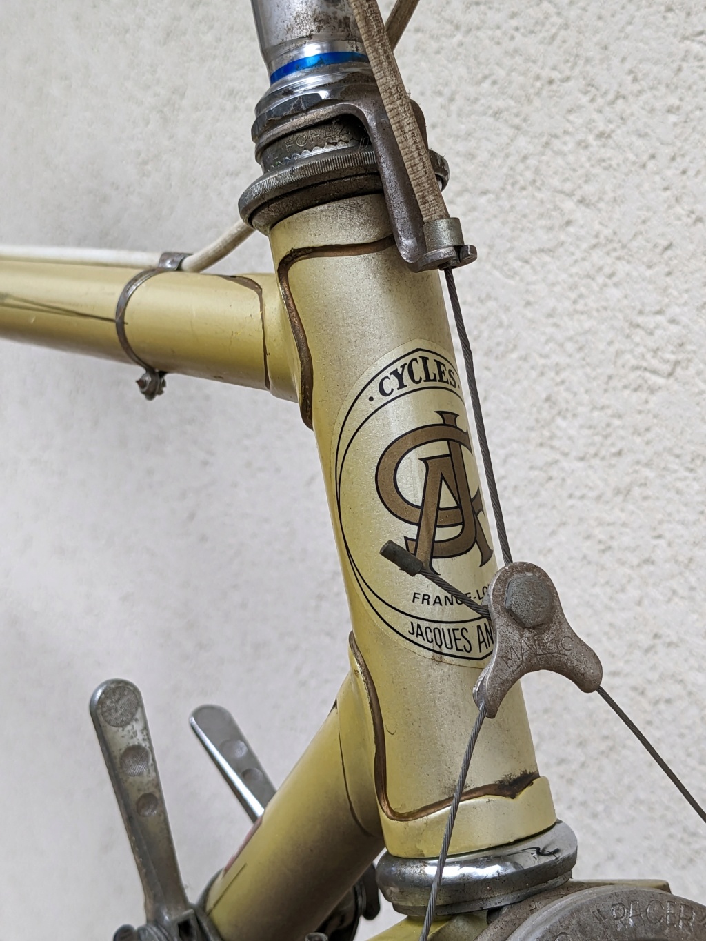 Cycle Jacques Anquetil SuperVitus 971 Pxl_2019