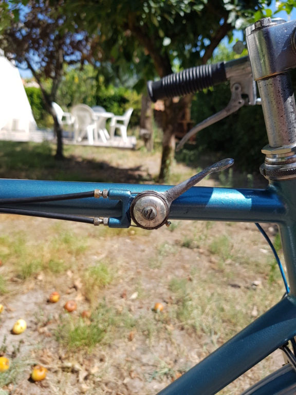 Une Hirondelle qui fait mon printemps - Page 6 20220720