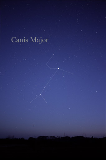 Essaie sur les constellations divines Canism10