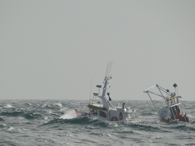 petite virée en mer! Dsc01884