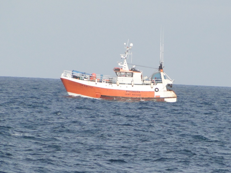 petite virée en mer! Dsc01950