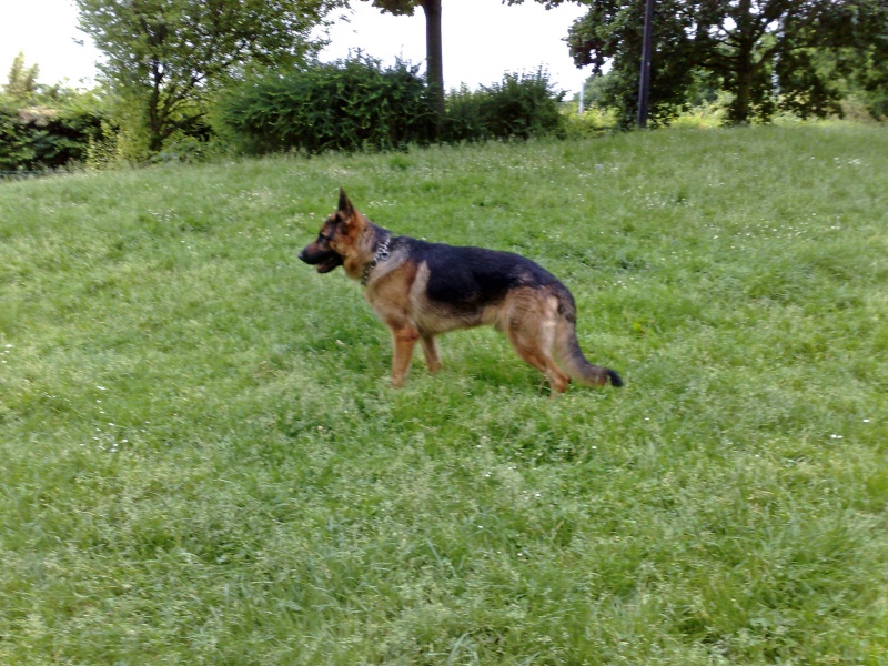 co voiturage urgent Nanterre 92-->porte d orlean ce soir 29052013