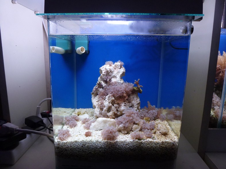 mon 30 litres Nano_510