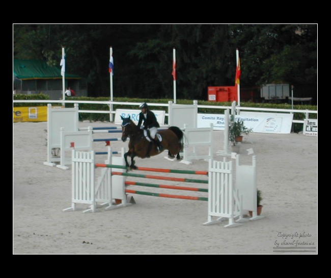 Dons de Photos Chevaux Photo_20