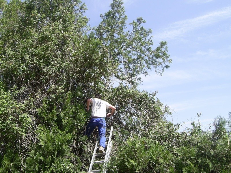 se que je retire comme enseignement de mon jardin !!!!!!!!! Photo_10