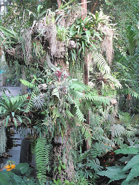 Le Jardin des Plantes de Paris 42086810