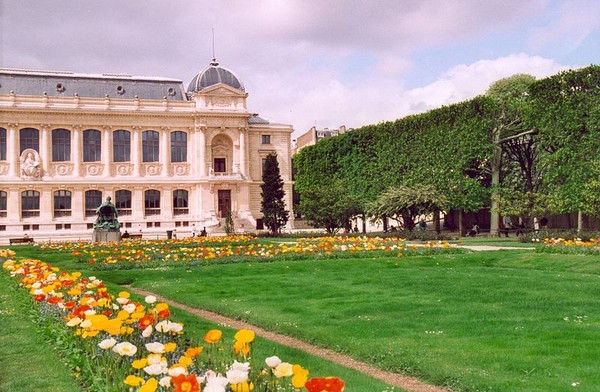 Le Jardin des Plantes de Paris!fleur Dbdc8610