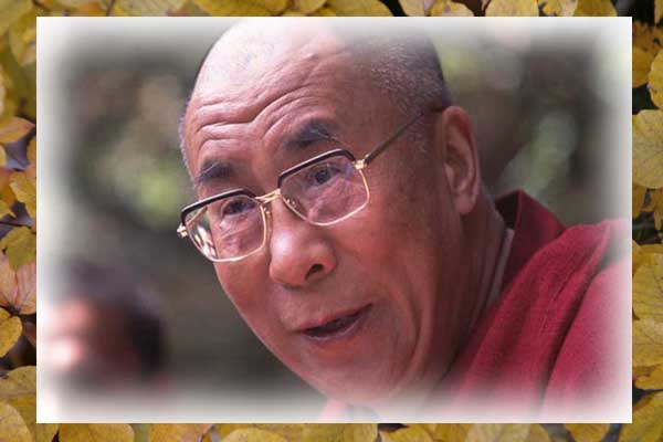 La compassion Dalail10