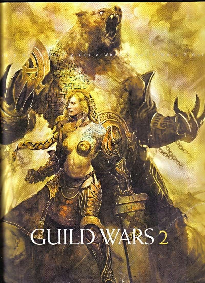 Guild Wars 2 Page_210