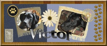 Inventaire de notre population animale Sign_v10