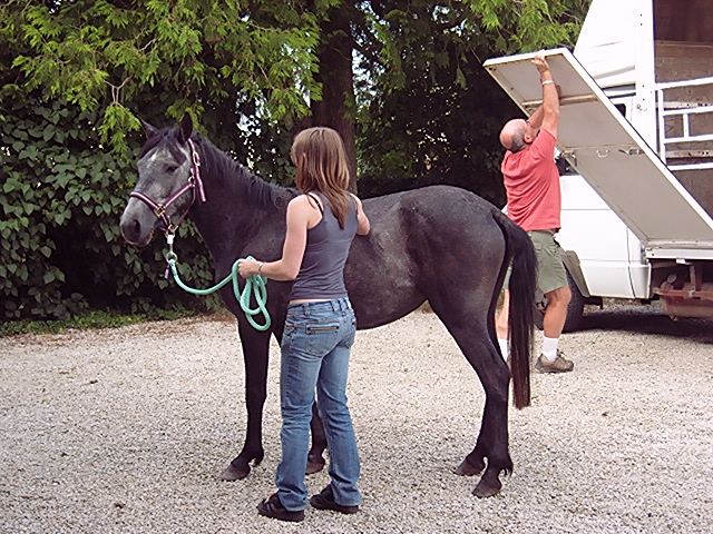 Toffee, ONC, Sauvée par Anne-Laure (Juin 2008) 100c4030