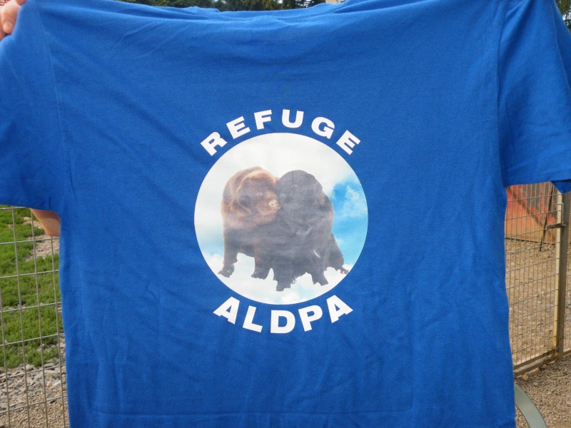 T-shirt au profit du refuge ALDPA Dscf5527