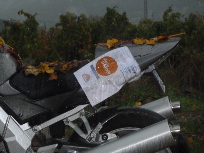 Le concours de novembre 2011: : Votre moto et l'orange. P1000021