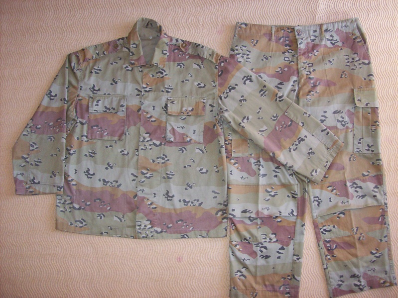 Egyptian "choco chip" desert uniform  100_6712