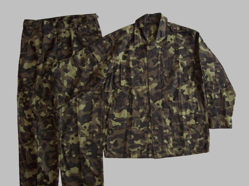 Ukrainian camouflage 100_7815