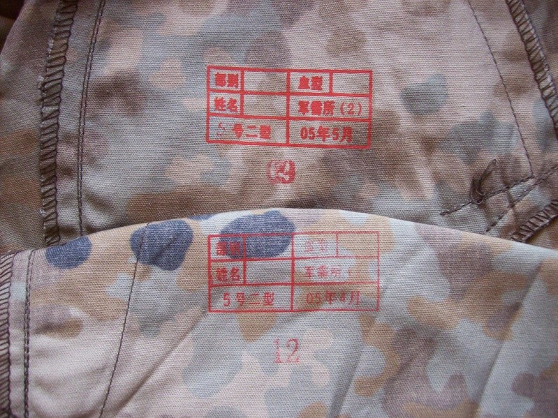 Type 03 Plateau "Tibet Flecktarn" Camo Uniform - Page 2 100_7822