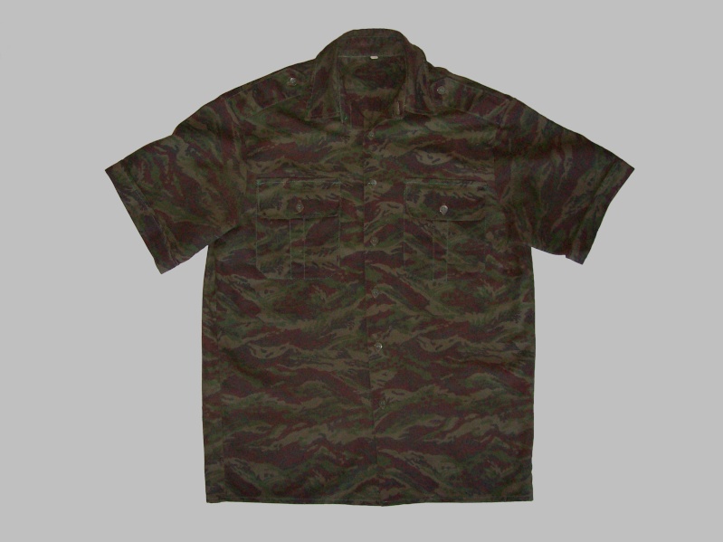 Serbian of Bosnian and Srpska repubic camouflage 100_8423