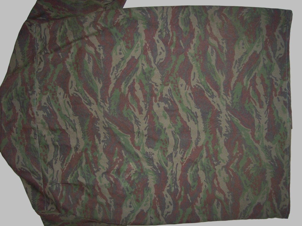 Serbian of Bosnian and Srpska repubic camouflage 100_8425