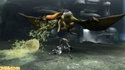Monster Hunter 3 revient en images et scans ! 61331515