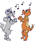 Obé rythmé/dog dancing
