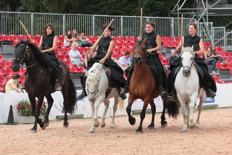 VICTOIRE "La Loutre", ONC crois Andalou-Percheron - Page 9 Pd1_5812